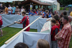 2006-fr_60_20080526_2028355558