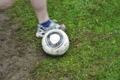 fr-2012_95_20120721_1045978672