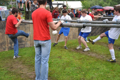 fr-2012_95_20120721_1079631197