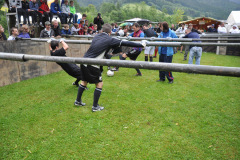 fr-2012_95_20120721_1179903113