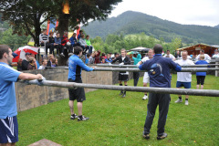 fr-2012_95_20120721_1204580711