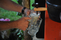 fr-2012_95_20120721_1393581124