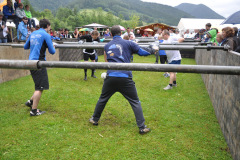 fr-2012_95_20120721_1730835826