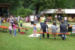 2008-sa_51_20080714_1183500634