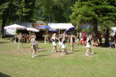 2006-sa_80_20080526_1586062690
