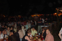 2006-sa_80_20080526_2096397966