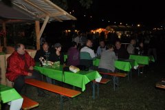 2010-sa_25_20100727_1431172598