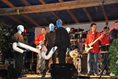 2010-sa_25_20100727_1464588406