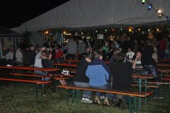 2010-sa_25_20100727_1757108699