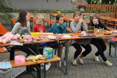2010-sa_40_20100727_1069004430