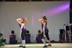 2010-sa_40_20100727_1097331665
