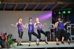 2010-sa_40_20100727_1531746413