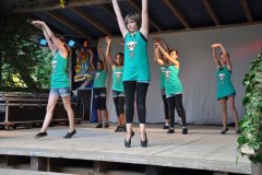 2010-sa_40_20100727_1768873364