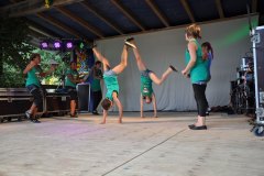 2010-sa_40_20100727_2000260073