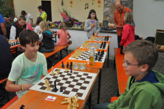 2014-sa_81_20140730_1018427851