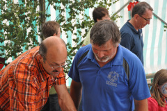 2014-sa_81_20140730_1352747459