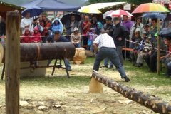 2008-so_20_20080714_1616845326