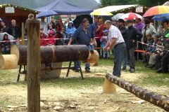2008-so_20_20080714_1891982757