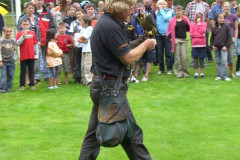 2008-so_50_20080714_1170250075