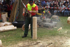 2008-so_50_20080714_1256629245