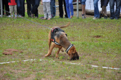 2012-so_108_20120723_1028322477